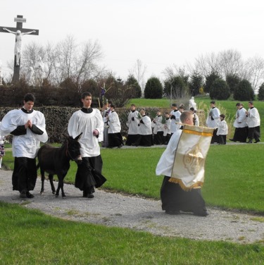Palm Sunday Donkey